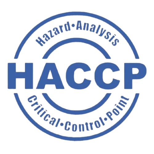 Untitled design - 2025-11-25T183553.035